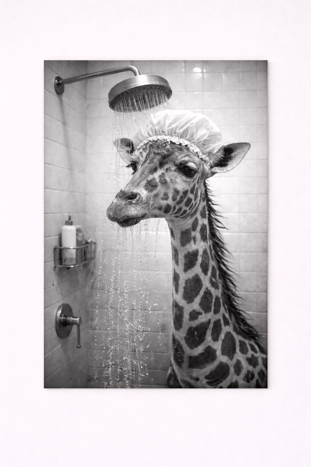 Giraffe Shower Wall Art Print – Black & White Funny Animal Bathroom Photography - Viney Rees Prints