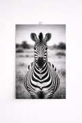 Black & White Zebra Wall Art – Minimalist Safari Animal Print - Viney Rees Prints