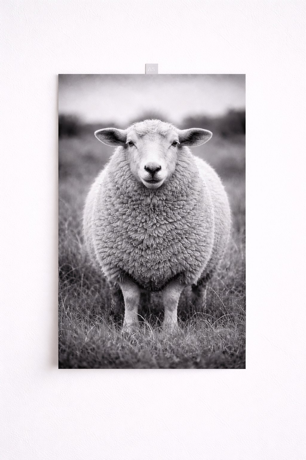 Black & White Sheep Wall Art – Minimalist Farm Animal Print - Viney Rees Prints