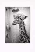 Giraffe Shower Wall Art Print – Black & White Funny Animal Bathroom Photography - Viney Rees Prints