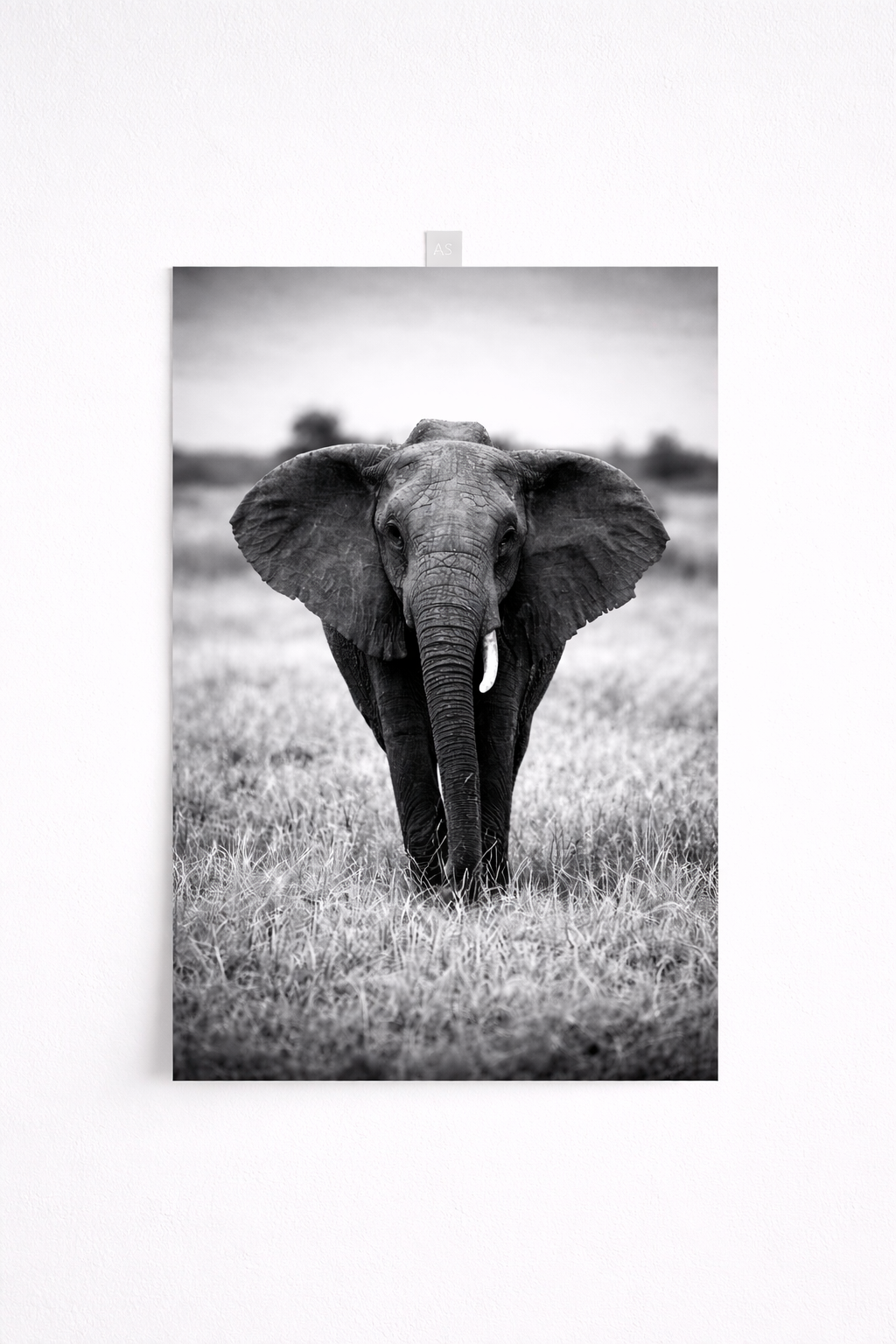 Black & White Elephant Wall Art – Minimalist Safari Wildlife Print - Viney Rees Prints