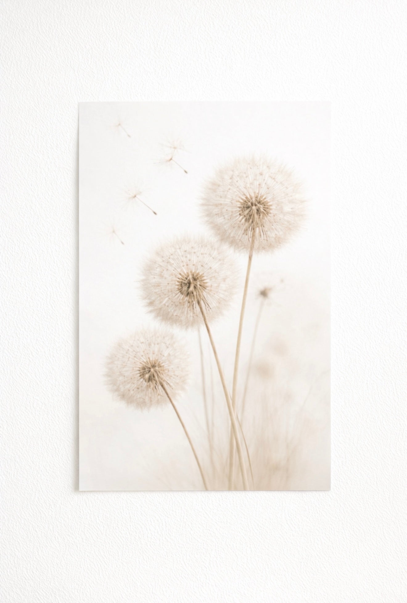 Dandelion Wall Art Print – Minimalist Botanical Neutral Decor - Viney Rees Prints
