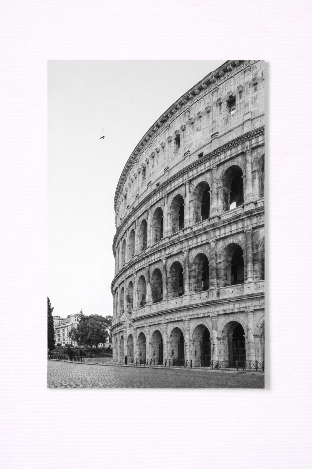 Colosseum Wall Art Print – Black & White Rome Photography - Viney Rees Prints