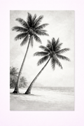 Black & White Palm Tree Wall Art – Tropical Beach Print - Viney Rees Prints